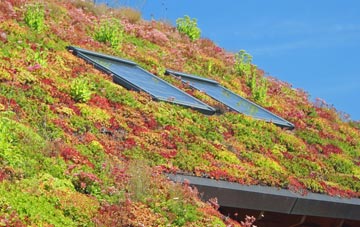 Ickornshaw living roof systems
